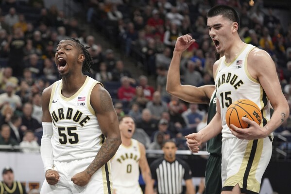 Purdue basket top